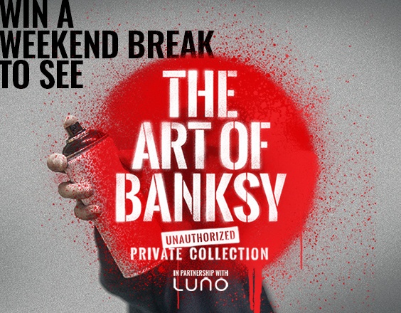 the art of banksy unauthorized private collection